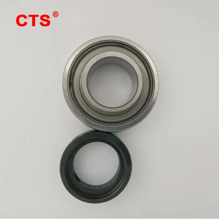 Ball Bearings with Eccentric Collar